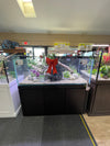 Planet Clear Show 140G Rimless on Black Elegance Stand (Coventry, RI)