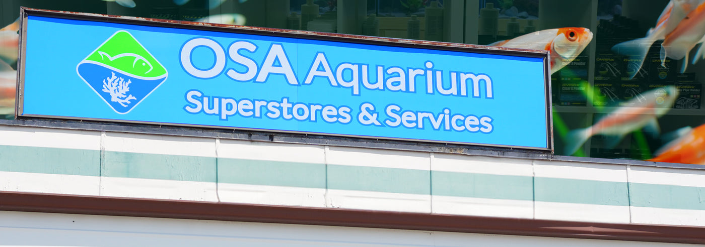 Aquarium superstore 2025