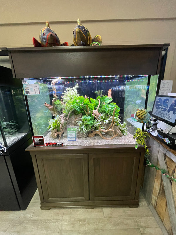 Canopy Aquariums Tagged "canopy" OSA Aquarium Superstore & Services