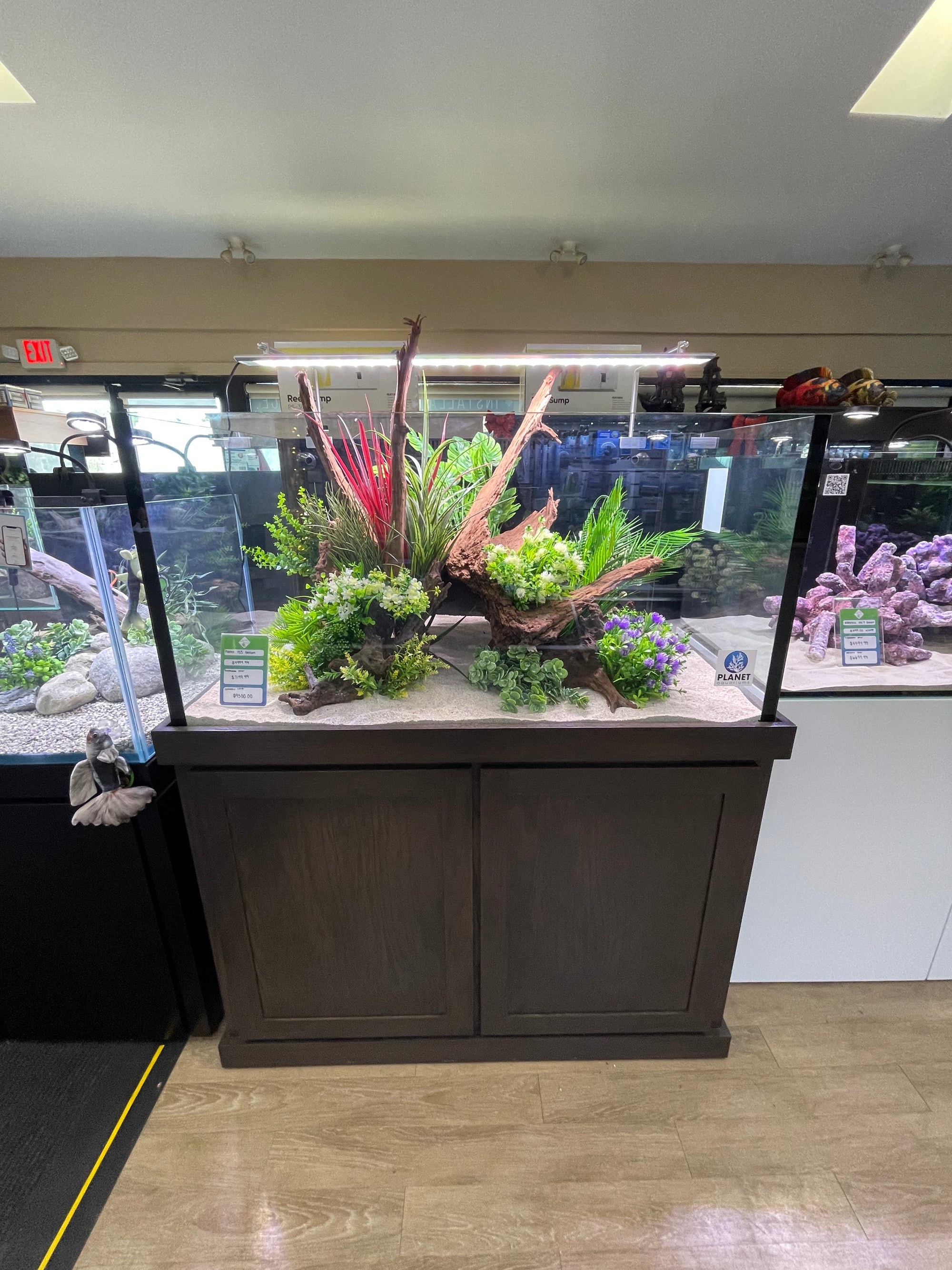 Planet 155G Dark Oak Rimless (Coventry, RI)