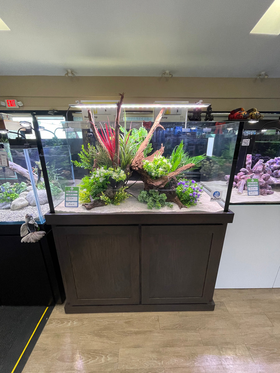 Planet 155G Dark Oak Rimless (Coventry, RI)